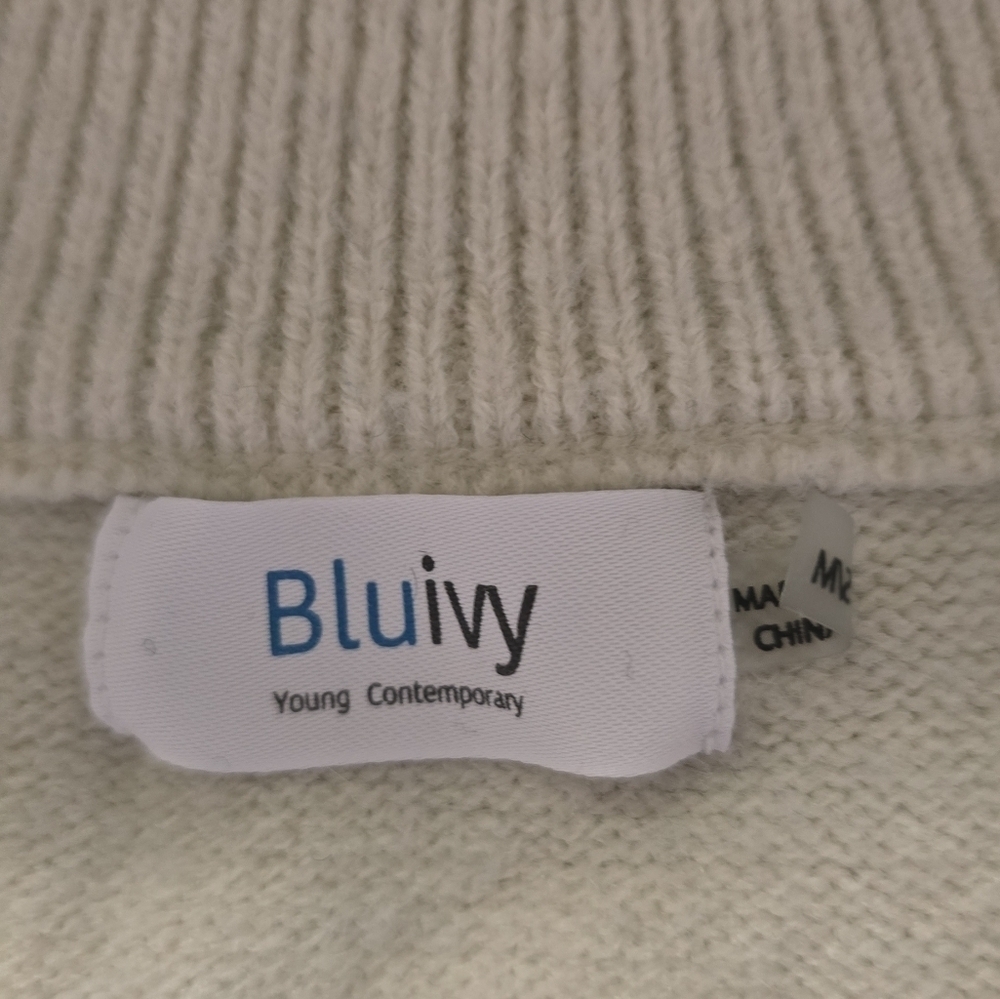 Bluivy Quarter Zip Up Stripe Pullover - Picture 8 of 10